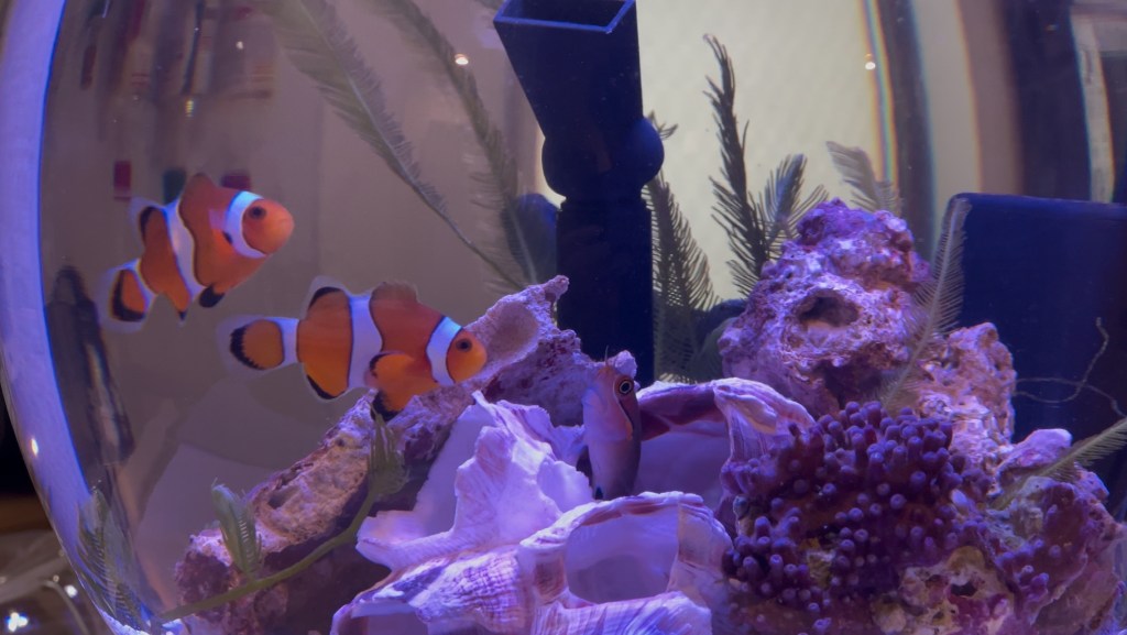 はじめましての投稿