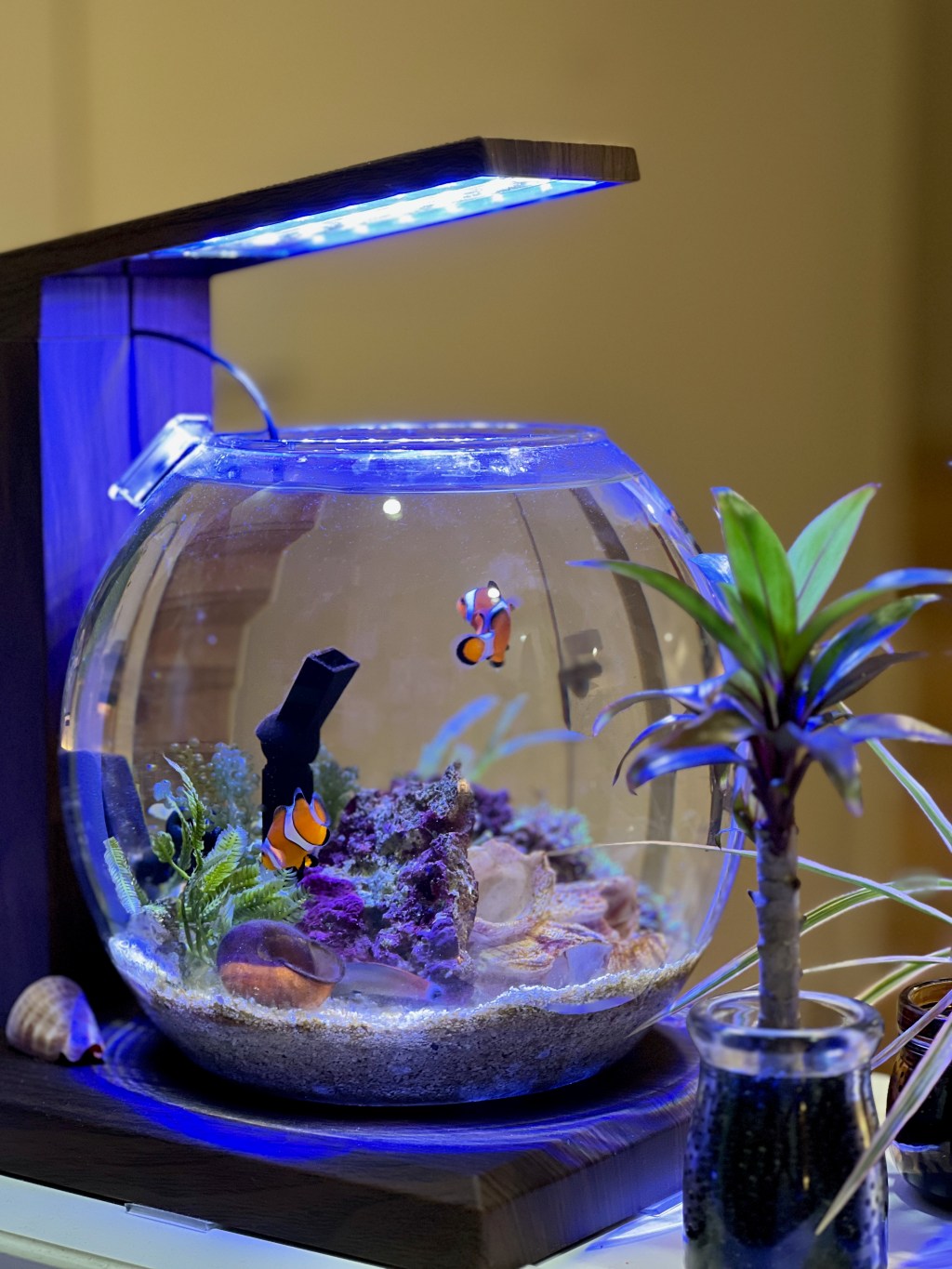 ペルコのメリット・デメリット（使用開始1.5ヶ月時点）