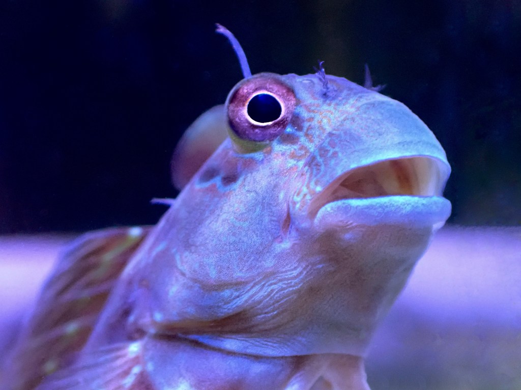 気づけば7月末…